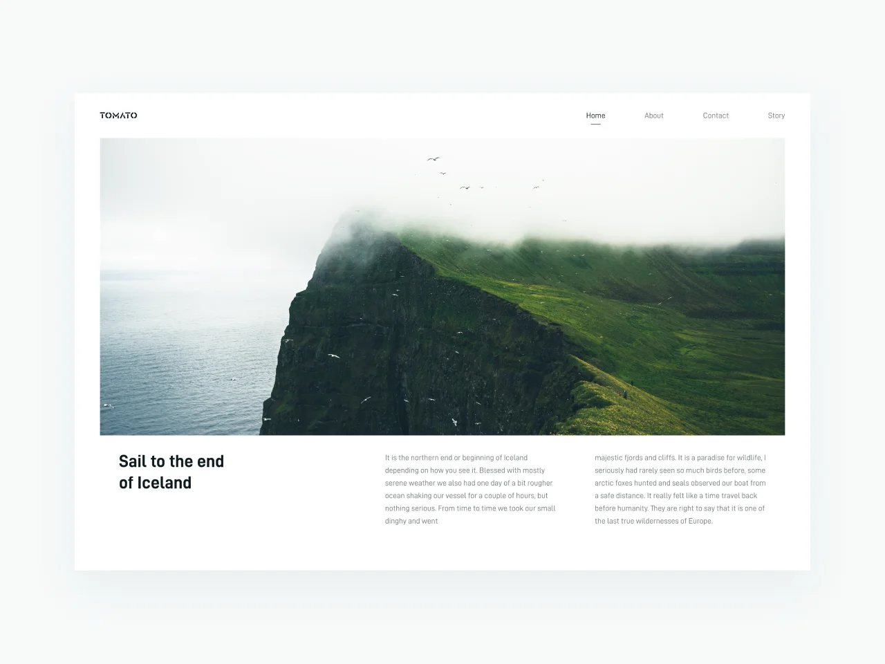 UX/UI Design